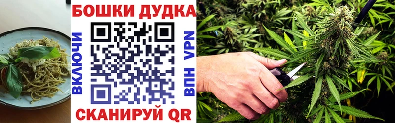 купить   Шиханы  Canna-Cookies марихуана 