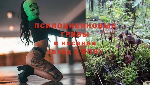 стаф Абдулино