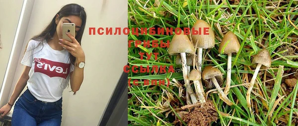 гашишное масло Абинск