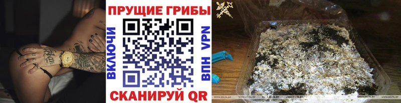 Псилоцибиновые грибы ЛСД  закладка  Шиханы 